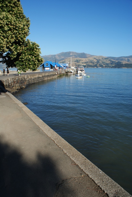 Akaroa 11