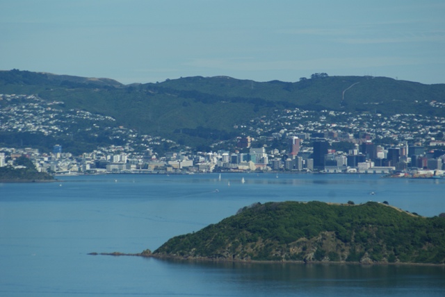 WELLINGTON CITY